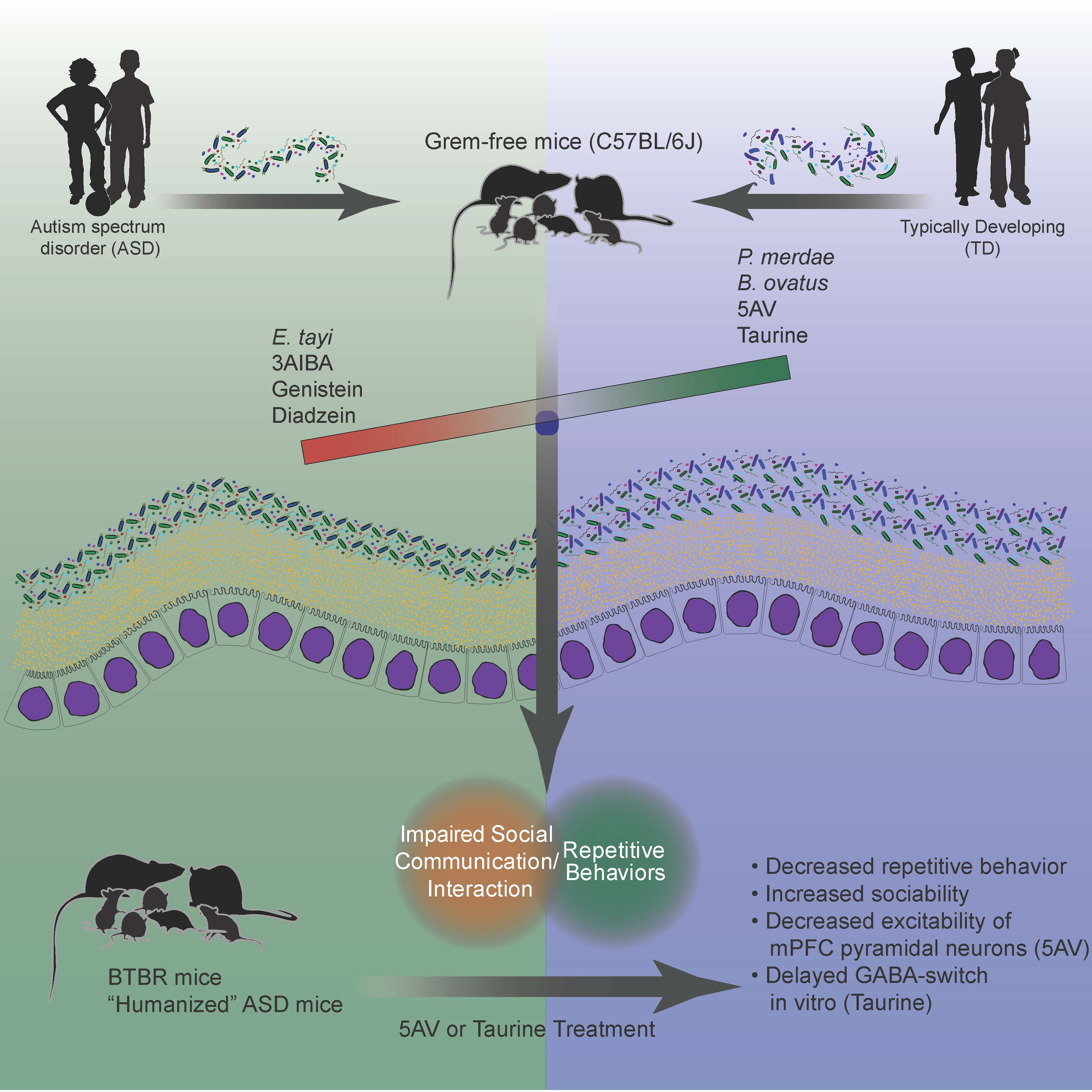 environmental research graphical abstract