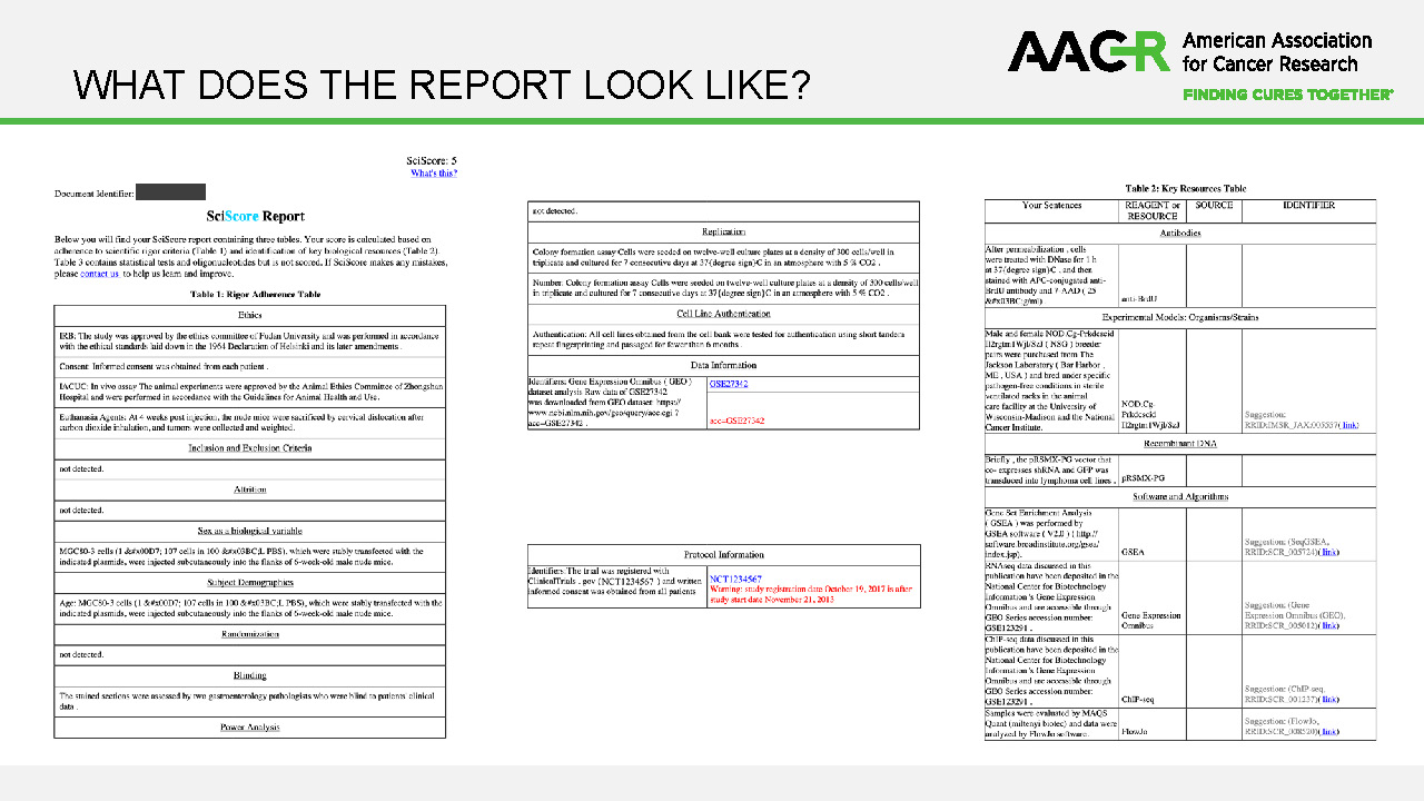 write a case study on artificial intelligence